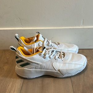 Like new! Damian Lillard Basketball Shoes.